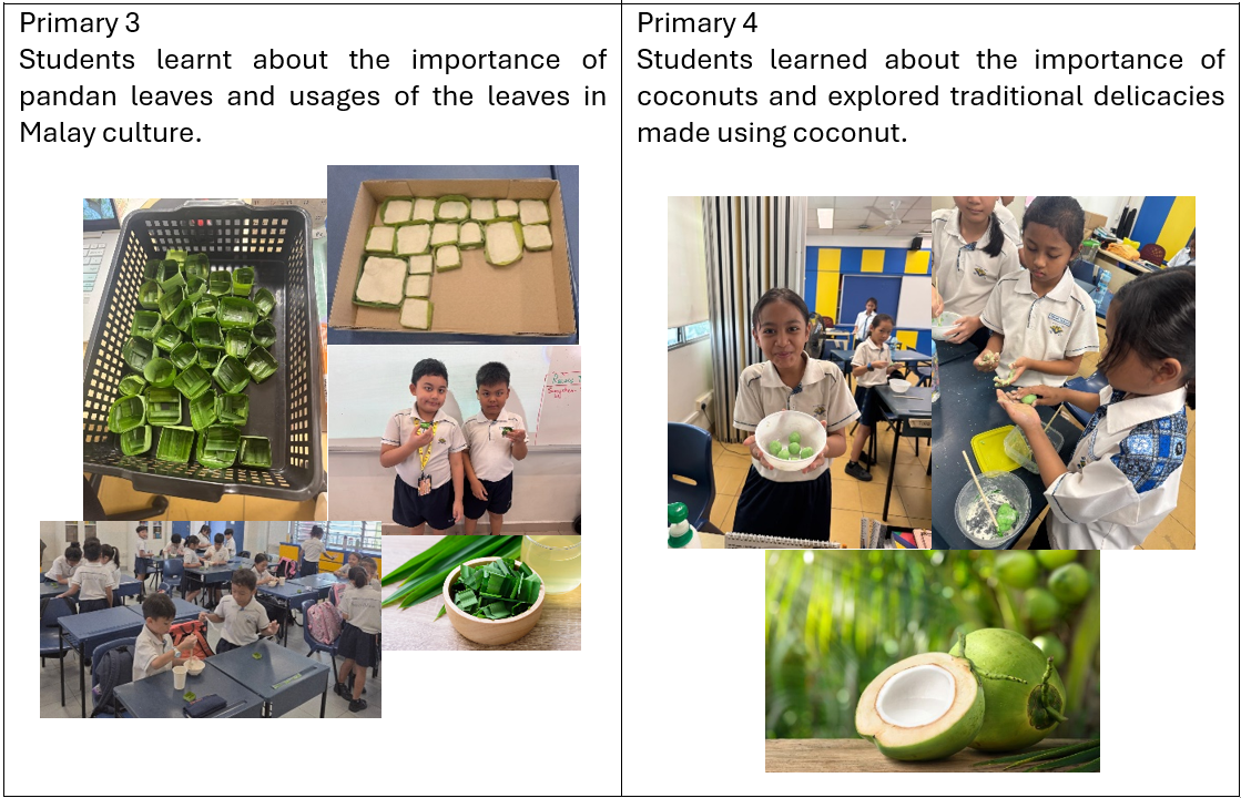 Malay Language Primary 3 & Primary 4 activities. Students learnt about the importance and usages of pandan leaves and coconuts